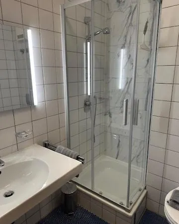 Grüner Baum Hotel 3*