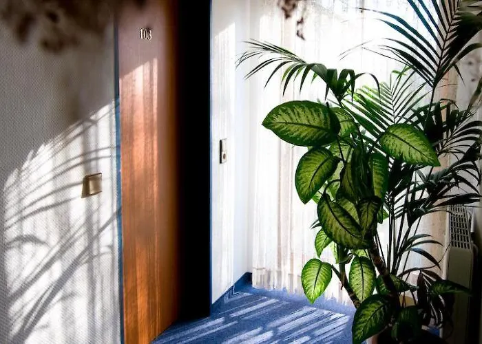 Gruener Baum 호텔 3*